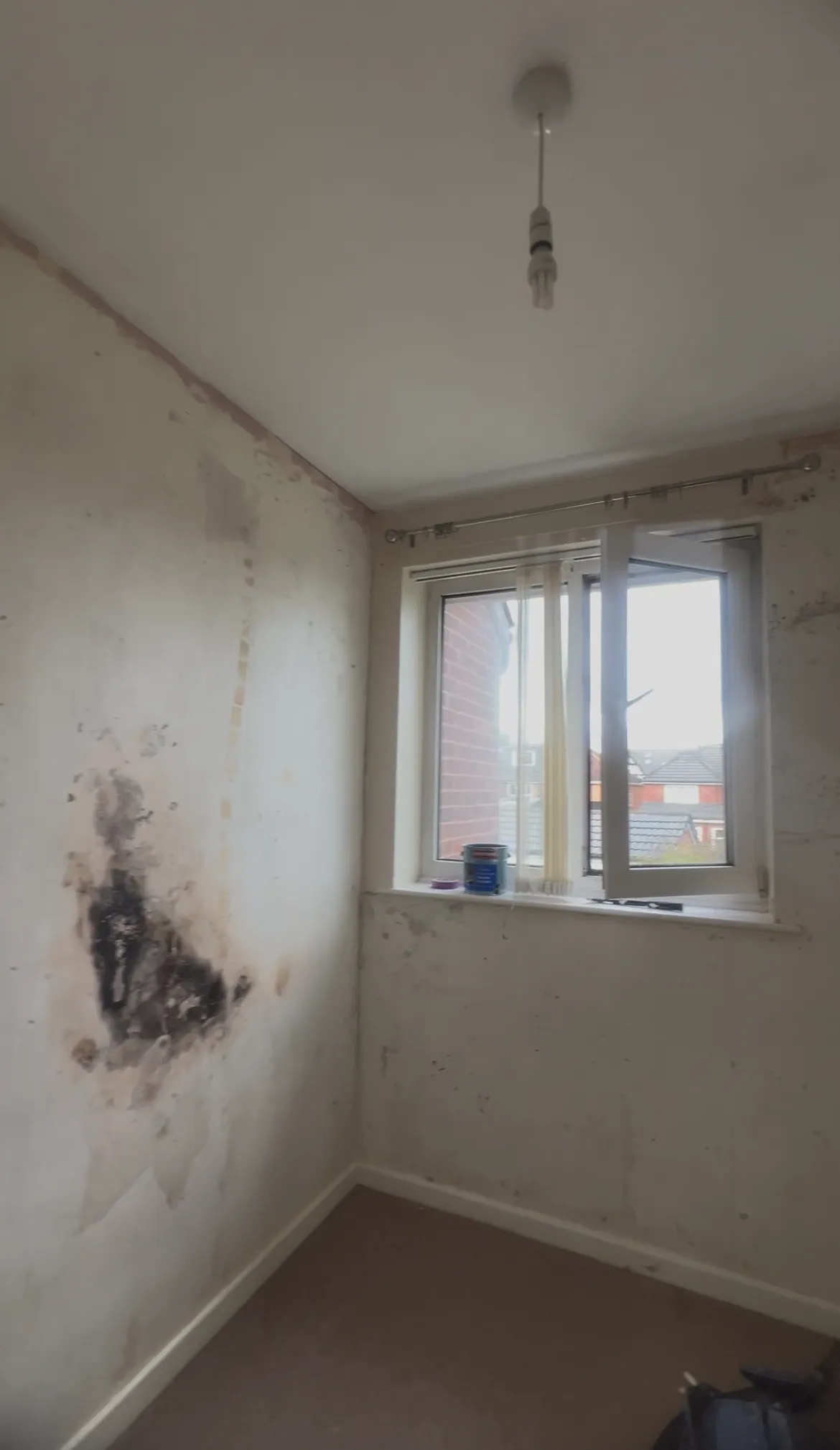 Before decorating project 23